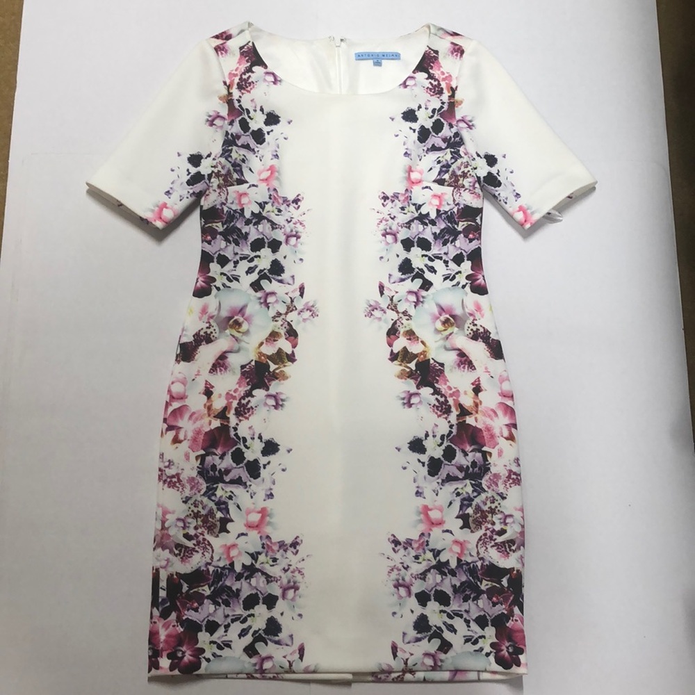 Antonio Melani Dress
